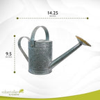 Headwind Cortland 1 Gallon Metal Watering Can with Brass Rose Spout, Vintage Galvanized Watering Can for Garden, Indoor & Outdoor Plants, Copper Accent Steel – Galvanized Silver - Image 2