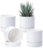 Phoenix Vine 4 Inch Planter Pot with Drainage Hole & Saucer, Deep Water Catch Tray, Straight Cylindrical Round Pot for Plants, Matte White, Pack of 4, 23-B-R-4 by Phoenix+Vine