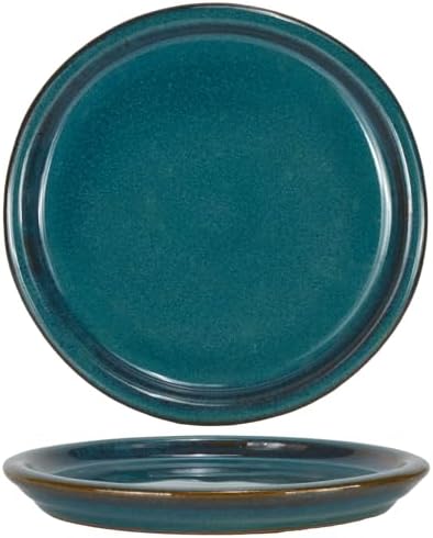 W&W Ceramic Plant Saucer - Plant Trays for Indoor Pots (Teal, 8 inches, 2 Packs) by WWHomeDecor