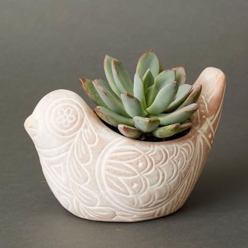 Decorative Terracotta Watering Spikes Set, Snail and Squirrel Shape, 6" Tall - Image 7