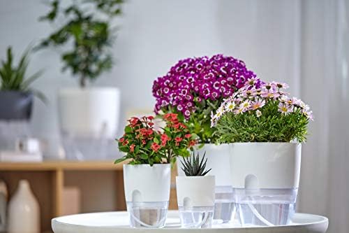 Self Watering Planter for Indoor Plants, 2 Pack 9.3 Inch Flower Pot Modern Decorative Plastic Planter with Extra Large Water Storage for All House Plants, Flowers, Herbs(Gray) - Image 2