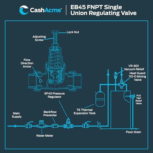 Cash Acme EB45 Pressure Regulating Valve, Single Union, 1/2 Inch NPT Female x NPT Female, Poly Top, 45 PSI, 23882-0045 - Image 6