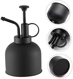 304 Stainless Steel Mini Garden Watering Can Vintage Style Plant Mister Spray Bottle for Indoor Plants Matte Finish Compact Design for Home Gardening - Image 6