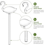 CATPAN 2 PCS Glass Swan Plant Watering Stakes, Self Watering Globes for Indoor Plants, 26 cm Automatic Watering Spikes for Houseplants, Succulents, Herbs and Flowers - Image 3
