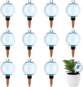 8 Pack 17 oz Self Watering Globes for Plants with Covers, Blue by LOYIM