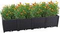 Hershii Rectangular Deepened Garden Raised Bed Kits Plastic Plant Containers Indoor Outdoor Vegetables Herbs Flowers Growing Planter Box - Black - 61.41 X 15.35 X 14.96 Inches by FineLivingStartingwithaHome
