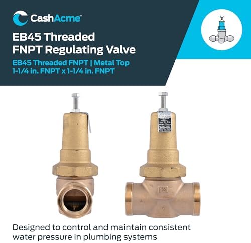 Cash Acme EB45 Pressure Regulating Valve, 1-1/4 Inch NPT Threaded, Metal Top, 60 PSI, PVA35M-DTH-60 - Image 2