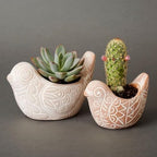 Decorative Terracotta Watering Spikes Set, Snail and Squirrel Shape, 6" Tall - Image 6