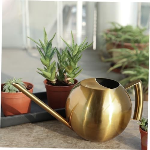 TOYANDONA 1000ml Stainless Steel Watering Can Long Spout Ball Shape for Indoor Outdoor Plants Succulent Gardening Tool Golden - Image 4