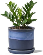 5.8 Inch Plant Pot: Ceramic Planter with Drainage Hole & Saucer - Flowerpot for Indoor & Outdoor Plants with Separate Tray for Home & Office - Blue by Chubacoo