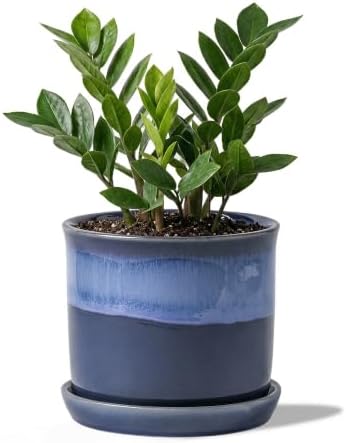 5.8 Inch Plant Pot: Ceramic Planter with Drainage Hole & Saucer - Flowerpot for Indoor & Outdoor Plants with Separate Tray for Home & Office - Blue by Chubacoo