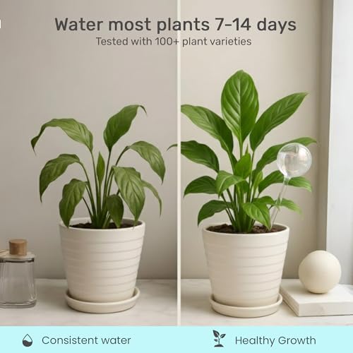 Plant Watering Globes 6 Pack – Self Watering Bulbs, Whole-Home Medium Set - Image 3