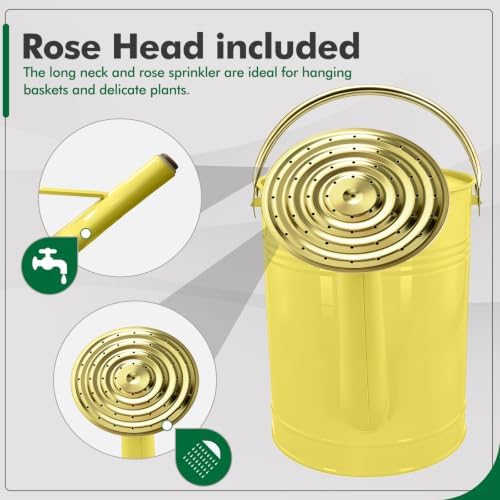 Gold Galvanized Iron Watering Can for Indoor Plants, DIY Watering Cans for House Plant Garden Flower, Long Spout Water Can for Outdoor Watering Plants 6.44L 1.7Gallon (Beige) - Image 3