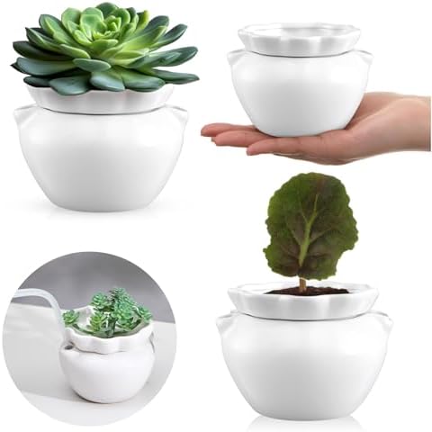 4 Set 4 Inch African Violet Pots Self Watering Ceramic by Sunnychicc