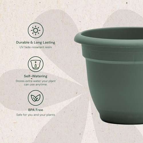 Bloem Ariana 10" Plastic Self-Watering Planter, Basil, 4-Pack - Image 3