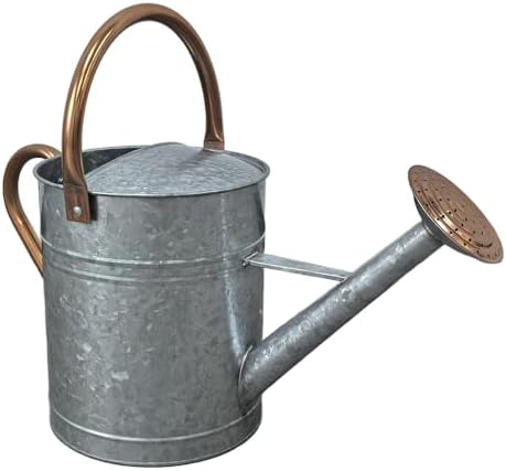 Plexon Large Metal Watering Can Outdoor 2 Gallon - Flower Plant Gardening Garden Watering Can Pot, Bronze Galvanized Steel Handles and Removable Spray Spout, Silver - Image 2