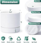 Phoenix Vine 6 Inch Planter Pot with Drainage Hole & Saucer, Deep Water Catch Tray, Straight Cylindrical Round Pot for Plants, Matte White, Pack of 3, 23-B-S-3 - Image 2