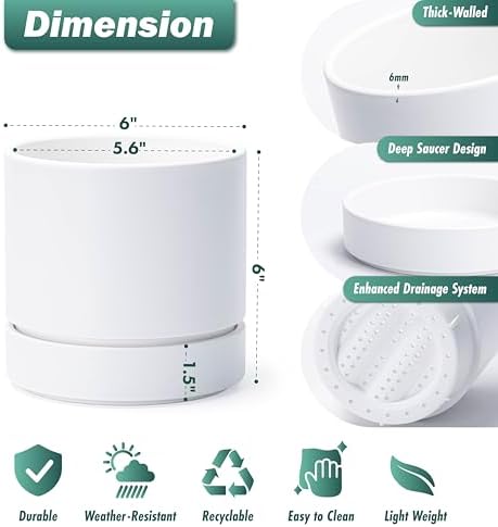 Phoenix Vine 6 Inch Planter Pot with Drainage Hole & Saucer, Deep Water Catch Tray, Straight Cylindrical Round Pot for Plants, Matte White, Pack of 3, 23-B-S-3 - Image 2