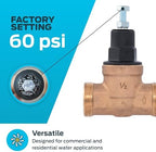Cash Acme EB45 Pressure Regulating Valve, 1/2 Inch NPT Threaded, Poly Top, 60 PSI, PVA08P-DTH-60 - Image 3