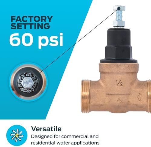 Cash Acme EB45 Pressure Regulating Valve, 1/2 Inch NPT Threaded, Poly Top, 60 PSI, PVA08P-DTH-60 - Image 3