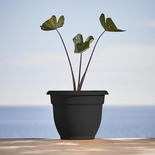 Bloem Ariana 10" Plastic Self-Watering Planter, Black, 4-Pack - Image 2