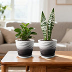 Ceramic Plant Pots, 6 Inch, Set of 2 - Image 3