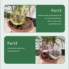 Automatic Plant Watering Globes Top Fill Automatic Houseplant Drip - Image 7