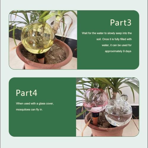 Automatic Plant Watering Globes Top Fill Automatic Houseplant Drip - Image 7