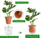 D'vine Dev Self Watering Terracotta Planter Pot, 6 in, 2-Pack, 37-Y-B-1 - Image 4