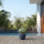 Kante Small Round Bowl Charcoal Concrete Planter 10" Dia, Outdoor - Image 7