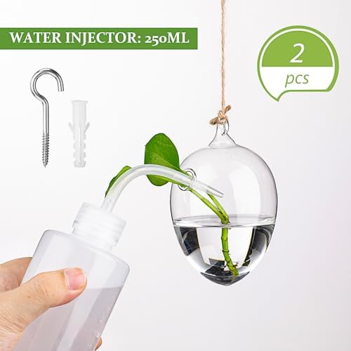 Zopeal 6 Set Wall Hanging Glass Planter Terrarium Propagation Station Vase Container Watering Squeeze Bottle with Rope and Hook for Hydroponic Plants Flower Home Decor Gifts (Classic Style) - Image 3