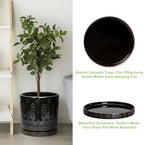 EightPot Plant Trays for Pots 7.5 Inch, 2 Pack Flower Pot Saucers, Round Ceramic Plant Saucers for Indoors Outdoors, Modern Plants Plates to Catch Water, Decorative Plants Dishes to Catch Water, Black - Image 5