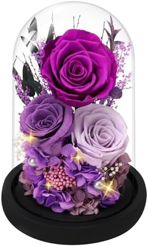Casaido Preserved Roses Flowers for Delivery, Mothers Day Rose Gifts for Mom Her, Purple Forever Flores in Glass Dome for Wife Girlfriend Grandma, Anniversary Birthday Gift for Vanlentines Christmas by Casaido