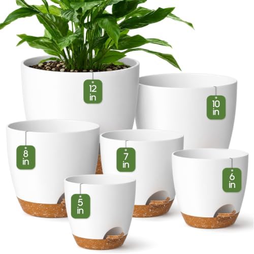 6 Size Self Watering Pots for Indoor Plants, Flower Plant Pot, White by Unknown