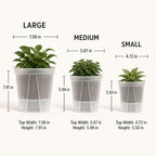 Shape & Use Self Watering Pots for Indoor Plants, Clear Plant Pots with Drainage and Deep Reservoir, 9 Pack Self Watering Planter Set, 3 Sizes 4.72", 5.91", 7.09" - Image 2
