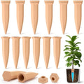 12 Pack Terracotta Watering Spikes with Lids Plant Watering Spikes Automatic Plant Waterer Devices Outdoor Indoor Vacation Friendly Slow Release Self Waterer Planter Insert(Large) by Ferrochef