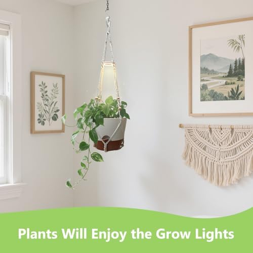 Hanging Planters - Help Plants Thrive in Low Light - Image 3