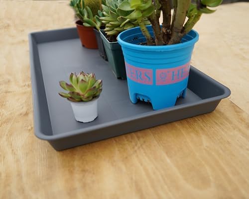 VUWEZ 2 Pack Plant Growing Nursery 1020 Trays, Plant Saucer Tray, Heavy Sturdy Seed Starting Trays, Plant Starter Trays for Indoors No Holes, Seed Starter Growing Tray (22"x11.2", Gray) - Image 6