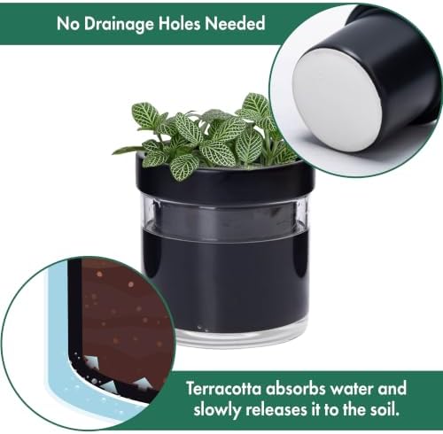 Phoenix Vine 4 Inch Self Watering Planter Pot, Black Terracotta Clay Pot with Glass Reservoir for Indoor Plants, Herbs, Flowers, Set of 4, 52-C-E-4 - Image 5