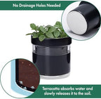 Phoenix Vine 4 Inch Self Watering Planter Pot, Black Terracotta Clay Pot with Glass Reservoir for Indoor Plants, Herbs, Flowers, Set of 3, 52-C-E-3 - Image 5