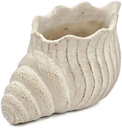 Nautilus Shell Planter, Beige - Image 4