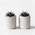 Small Ceramic self Watering Pot for Succulents, 4 inch, White,2pack by TineDew