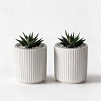 Small Ceramic self Watering Pot for Succulents, 4 inch, White,2pack by TineDew