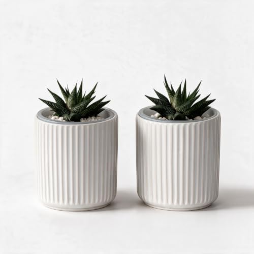 Small Ceramic self Watering Pot for Succulents, 4 inch, White,2pack by TineDew