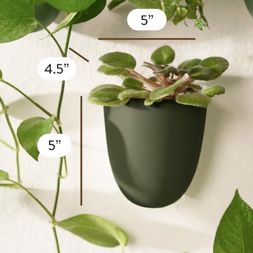 Make Good PlantPod Luxe - Self-Watering Wall Planters (Set of 6, Forest Green) - Easy to Water and Install - Lightweight - Design Your Own Vertical Garden - Wall Planters for Indoor Plants - Image 2