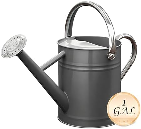 Metal Watering Can for Outdoor Plants, Watering Can Decor 1 Gallon (Gray) - Image 3