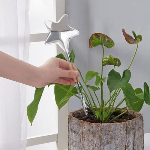 Tofficu 3pcs Star Shaped Glass Watering Bulbs for Indoor Plants Automatic - Image 6