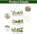 XXXFLOWER Wall Hanging Propagation Station with Wooden Stand 5 Bulb Vase 3 Tiers Planters+ 2Pcs Watering Can,Small Squeeze Bottles for Liquids,Succulent Watering Bottle with Bend Mouth,250 ML - Image 4