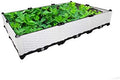 Hershii DIY Garden Raised Bed Rectangular Plant Growing Container Kits Plastic Vegetables Herbs Flowers Large Planter Box for Balcony, Patio, Backyard, Meadow - White - 46.06 X 30.7 X 8.66 Inches by FineLivingStartingwithaHome