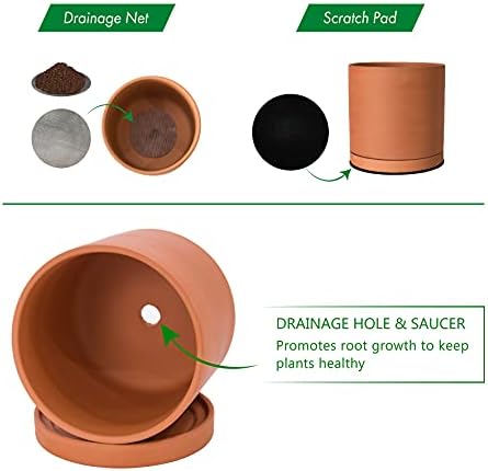 D'vine Dev 2-Pack Terracotta Plant Pots with Saucers, 10 Inch, 40-X-B-5 - Image 4